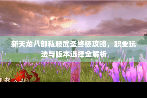 新天龙八部私服武圣终极攻略，职业玩法与版本选择全解析