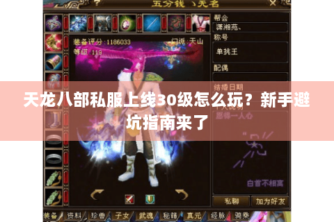 天龙八部私服上线30级怎么玩？新手避坑指南来了