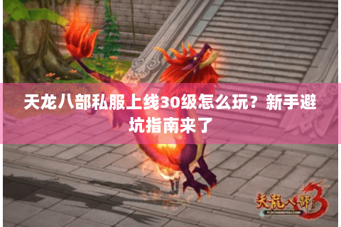 天龙八部私服上线30级怎么玩？新手避坑指南来了