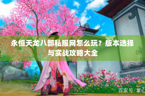 永恒天龙八部私服网怎么玩？版本选择与实战攻略大全