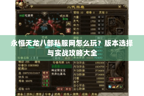 永恒天龙八部私服网怎么玩？版本选择与实战攻略大全