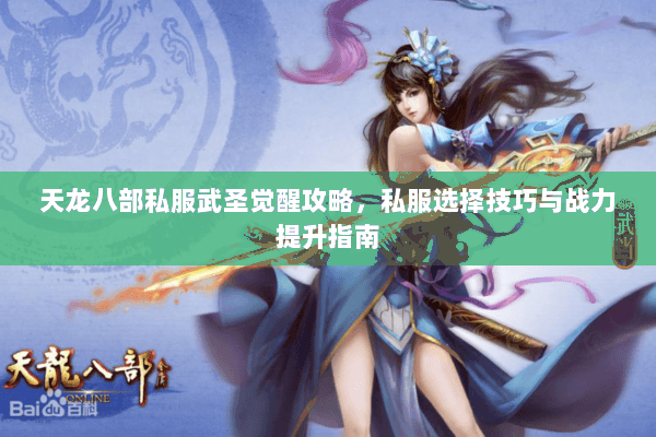 天龙八部私服武圣觉醒攻略，私服选择技巧与战力提升指南