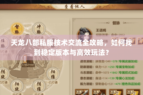 天龙八部私服技术交流全攻略，如何找到稳定版本与高效玩法？