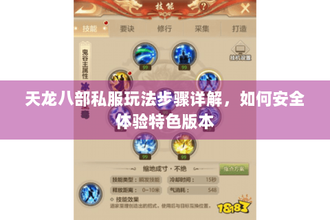 天龙八部私服玩法步骤详解，如何安全体验特色版本
