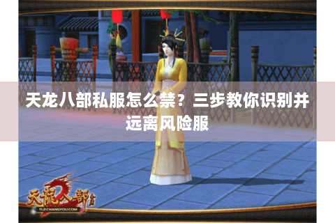 天龙八部私服怎么禁？三步教你识别并远离风险服