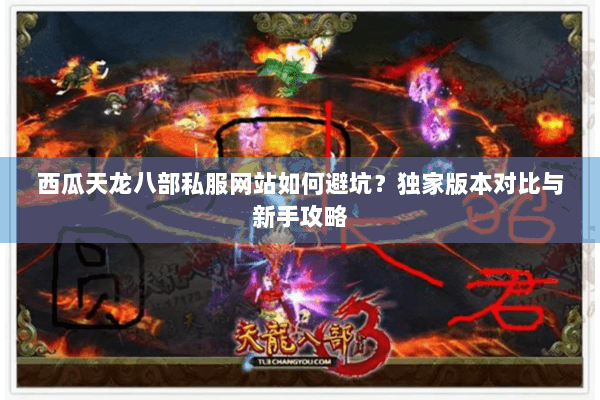 西瓜天龙八部私服网站如何避坑？独家版本对比与新手攻略