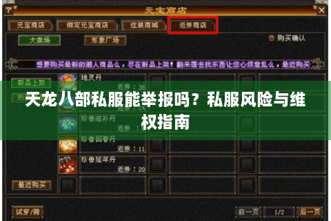 天龙八部私服能举报吗？私服风险与维权指南