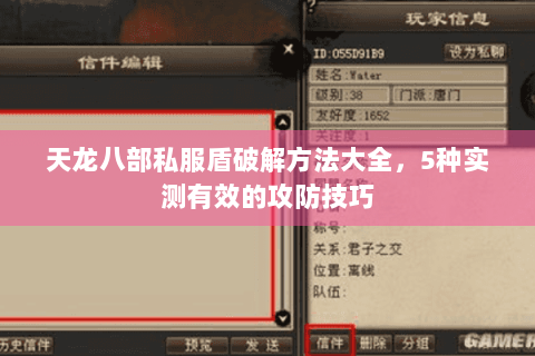 天龙八部私服盾破解方法大全，5种实测有效的攻防技巧