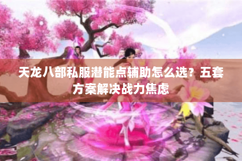天龙八部私服潜能点辅助怎么选？五套方案解决战力焦虑