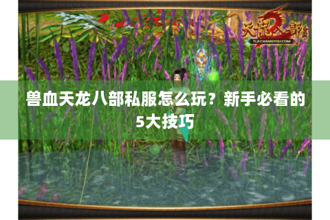 兽血天龙八部私服怎么玩？新手必看的5大技巧