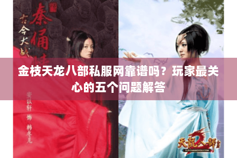 金枝天龙八部私服网靠谱吗？玩家最关心的五个问题解答