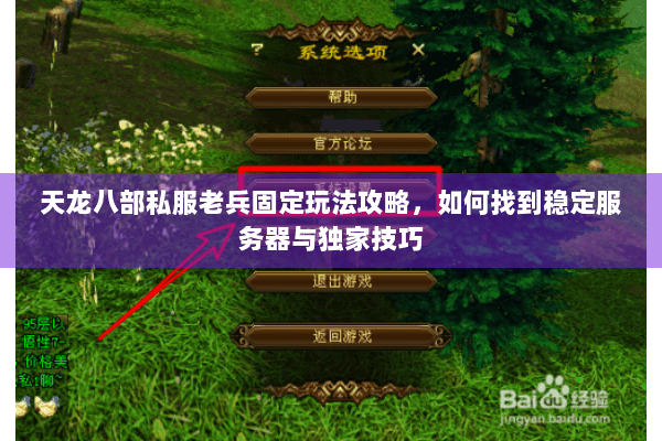 天龙八部私服老兵固定玩法攻略，如何找到稳定服务器与独家技巧