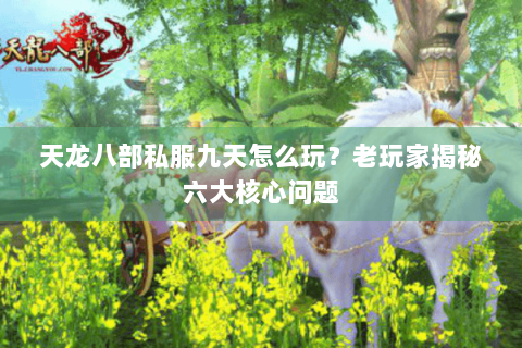 天龙八部私服九天怎么玩？老玩家揭秘六大核心问题