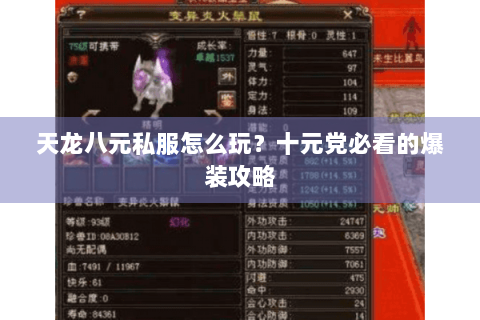 天龙八元私服怎么玩？十元党必看的爆装攻略
