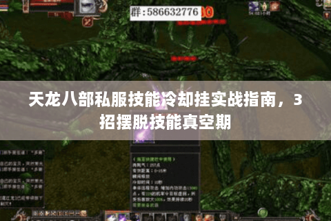 天龙八部私服技能冷却挂实战指南，3招摆脱技能真空期