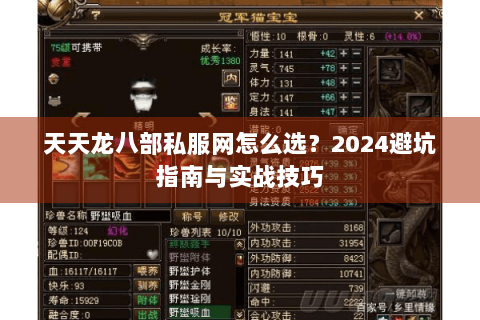天天龙八部私服网怎么选？2024避坑指南与实战技巧