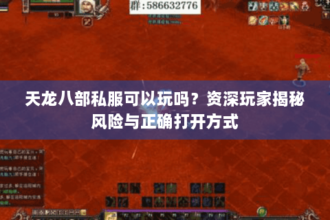 天龙八部私服可以玩吗？资深玩家揭秘风险与正确打开方式