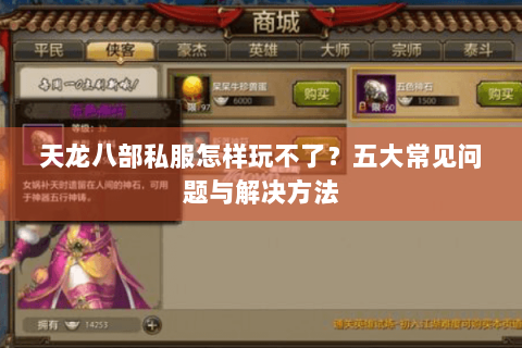 天龙八部私服怎样玩不了？五大常见问题与解决方法