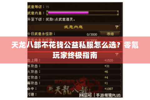 天龙八部不花钱公益私服怎么选？零氪玩家终极指南