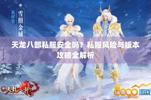 天龙八部私服安全吗？私服风险与版本攻略全解析