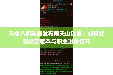 天龙八部私服发布网天山攻略，如何找到稳定版本与职业进阶技巧