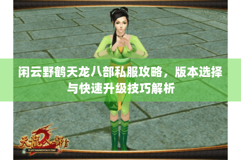 闲云野鹤天龙八部私服攻略，版本选择与快速升级技巧解析