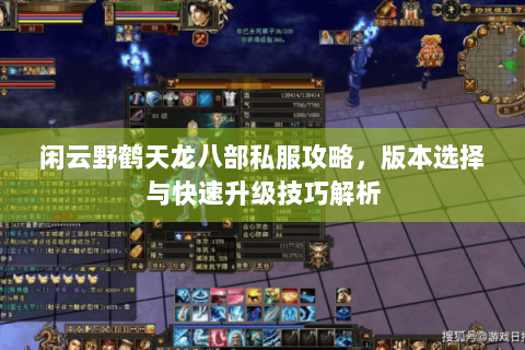 闲云野鹤天龙八部私服攻略，版本选择与快速升级技巧解析