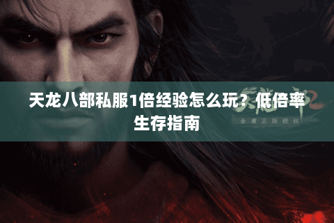 天龙八部私服1倍经验怎么玩？低倍率生存指南