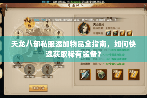 天龙八部私服添加物品全指南，如何快速获取稀有装备？