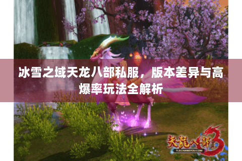 冰雪之域天龙八部私服，版本差异与高爆率玩法全解析