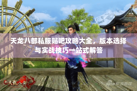天龙八部私服贴吧攻略大全，版本选择与实战技巧一站式解答