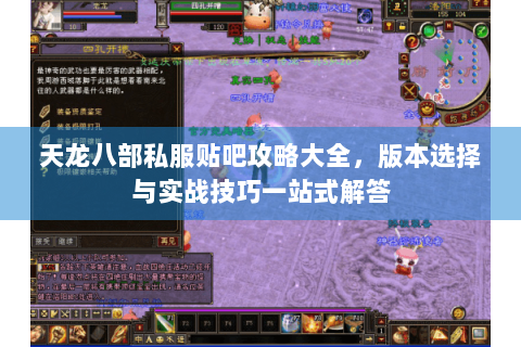 天龙八部私服贴吧攻略大全，版本选择与实战技巧一站式解答
