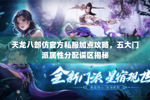 天龙八部仿官方私服加点攻略，五大门派属性分配误区揭秘