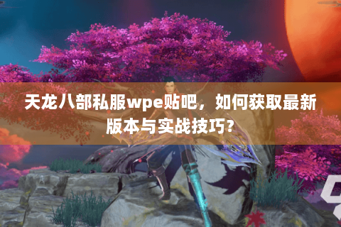 天龙八部私服wpe贴吧，如何获取最新版本与实战技巧？