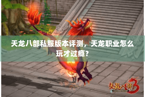 天龙八部私服版本评测，天龙职业怎么玩才过瘾？