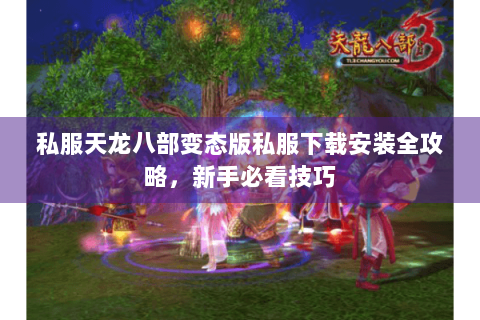 私服天龙八部变态版私服下载安装全攻略，新手必看技巧