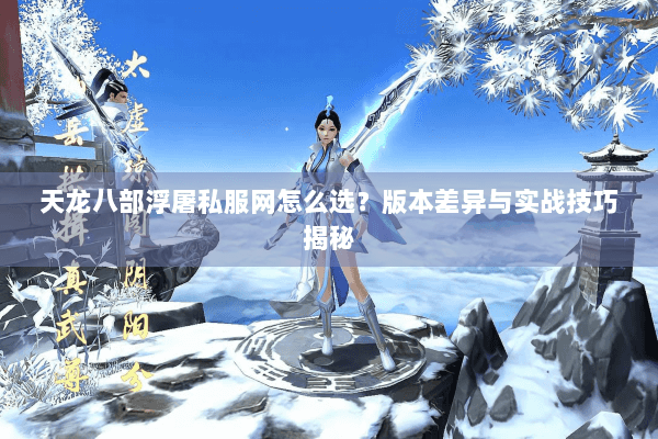 天龙八部浮屠私服网怎么选？版本差异与实战技巧揭秘