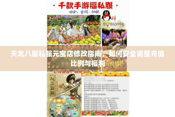 天龙八服私服元宝店修改指南，如何安全调整充值比例与福利
