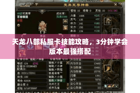 天龙八部私服卡技能攻略，3分钟学会版本最强搭配