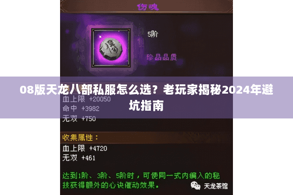 08版天龙八部私服怎么选？老玩家揭秘2024年避坑指南