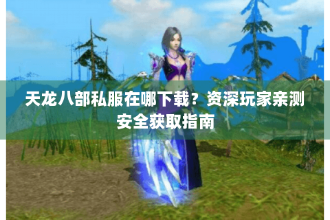 天龙八部私服在哪下载？资深玩家亲测安全获取指南
