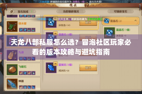 天龙八部私服怎么选？冒泡社区玩家必看的版本攻略与避坑指南