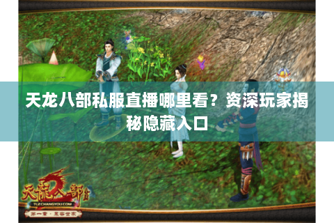 天龙八部私服直播哪里看？资深玩家揭秘隐藏入口