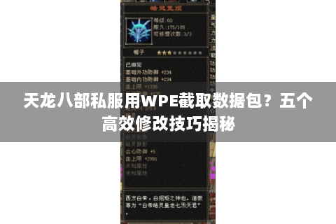 天龙八部私服用WPE截取数据包？五个高效修改技巧揭秘