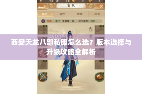 西安天龙八部私服怎么选？版本选择与升级攻略全解析