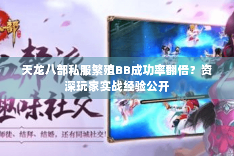 天龙八部私服繁殖BB成功率翻倍？资深玩家实战经验公开
