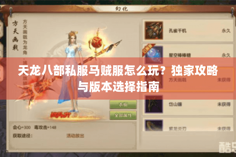 天龙八部私服马贼服怎么玩？独家攻略与版本选择指南