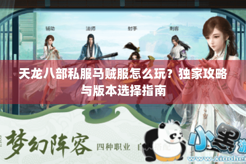 天龙八部私服马贼服怎么玩？独家攻略与版本选择指南