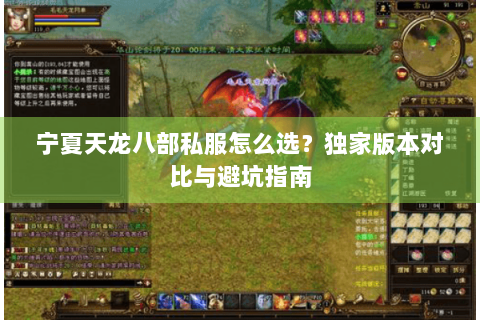 宁夏天龙八部私服怎么选？独家版本对比与避坑指南