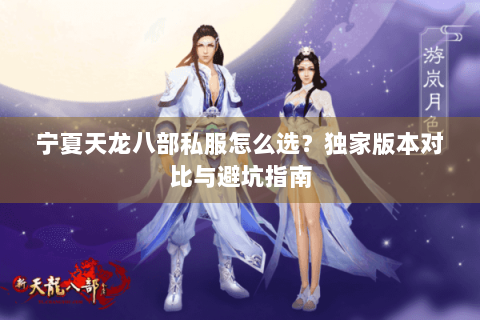 宁夏天龙八部私服怎么选？独家版本对比与避坑指南
